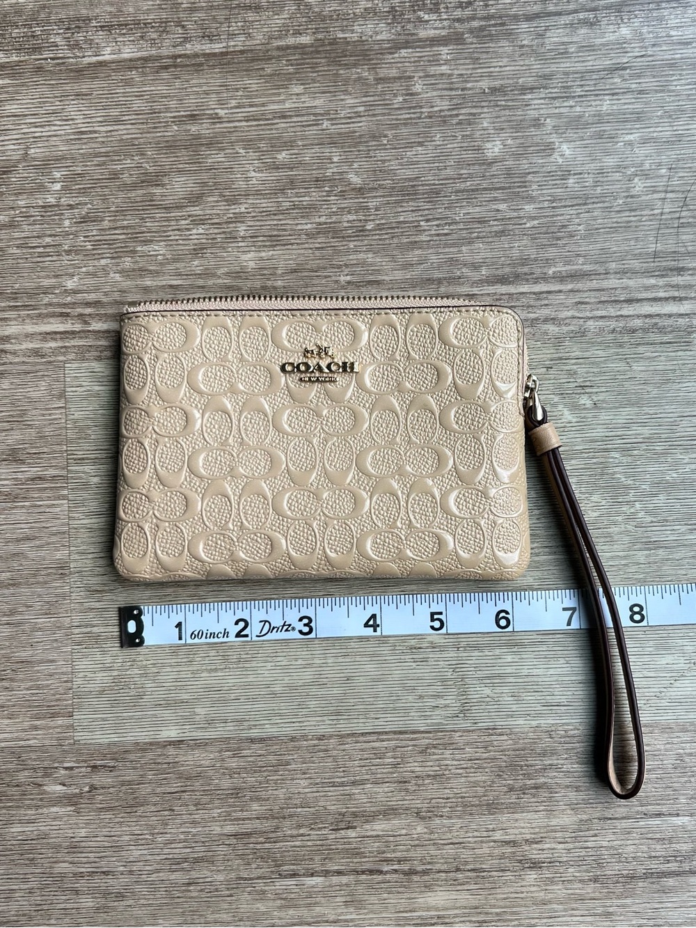 Iridescent Glitter Coach Wristlet